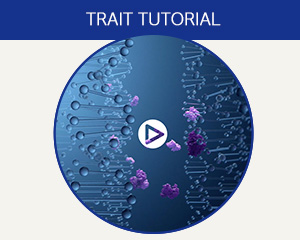 Trait tutorial