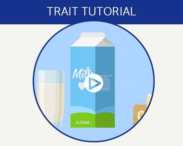 Trait tutorial