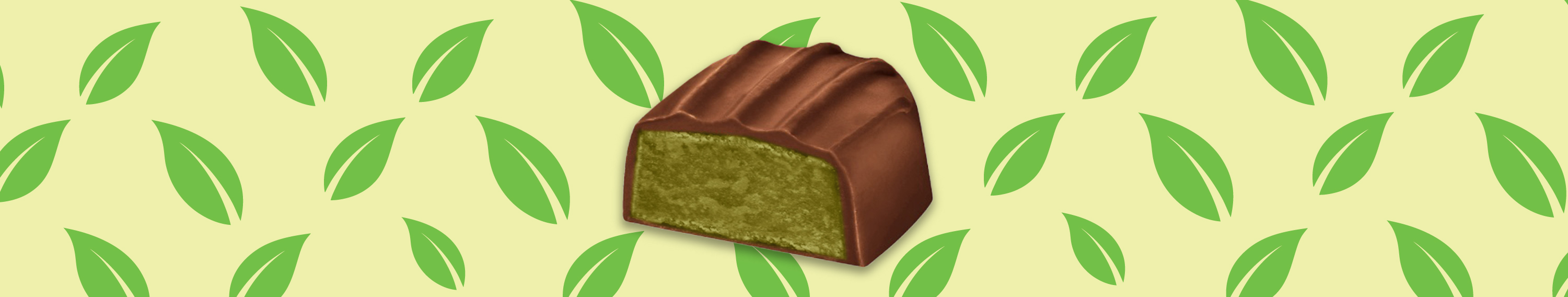 Matcha banner image