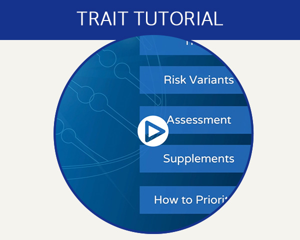 Trait tutorial