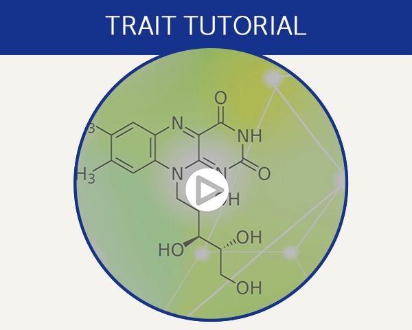 Trait tutorial