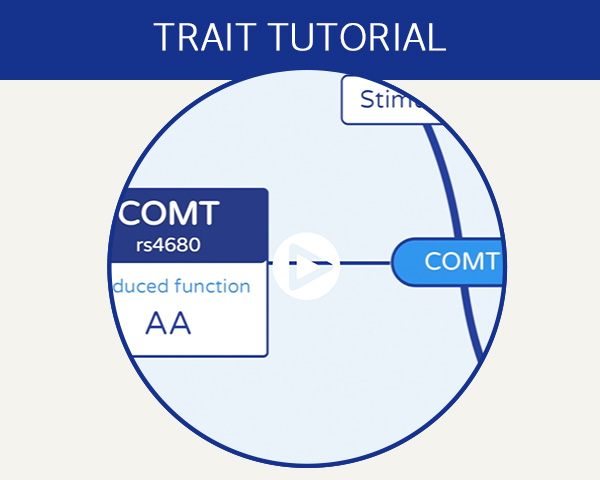 Trait tutorial