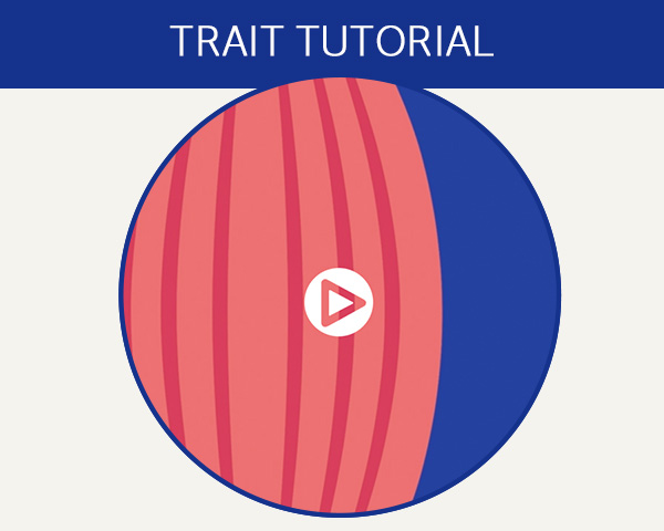 Trait tutorial