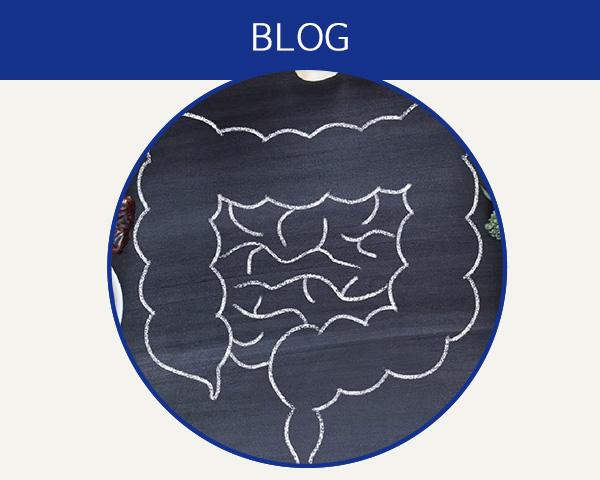 Blog