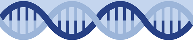 Seminar Series - From Longevity to Precision Healthy Ageing: A Structured Evidence-Based Approach to Clinical Assessment and Intervention