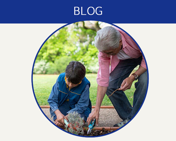 Blog